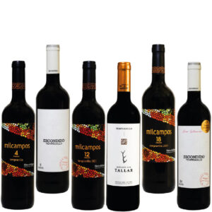 Lote Degustación Tintos